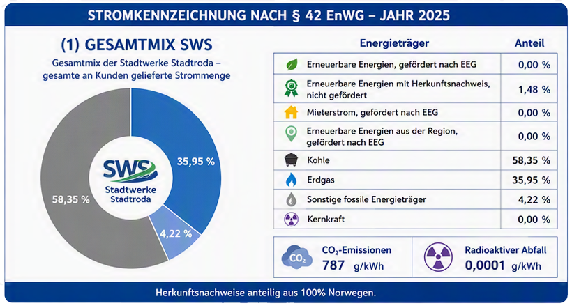 Stromkennzeichnung SWS gesamt 2025
